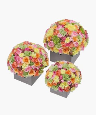 Nicolai Bergmann Flowers & Design/ニコライ バーグマン フラワーズ ＆ デザイン フレッシュフラワーアレンジメント（マルチ）