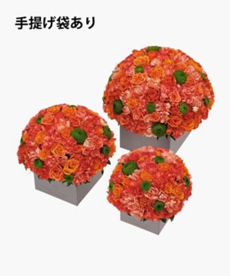 アルソア フレッシュフラワーセット NWオレンジ 酵素プラス2包付き アルソア フレッシュフラワーセット NWオレンジ 酵素プラス2包