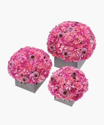 Nicolai Bergmann Flowers & Design/ニコライ バーグマン フラワーズ ＆ デザイン フレッシュフラワーアレンジメント（ピンク）