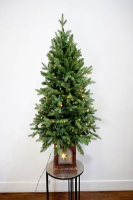 ゆず　クリスマスツリー ゆず クリスマスツリー クリスマスツリー | デイサービス ゆずリハ