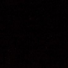 Pierre Mantoux (Women)/ピエールマントゥー LEGGINGS COTTON70 レギンス コットン70 NERO ストッキング・タイツ【三越伊勢丹/公式】