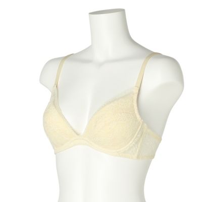 ソンドゥ　３／４カップ　ＬＩＶＡ１４５