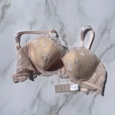 Ｐｒｏｔｅａ　Ｕｎｄｅｒｗｉｒｅ　Ｂｒａ　ＬＰー２５－０１