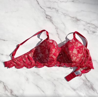 Ｐｒｏｔｅａ　Ｕｎｄｅｒｗｉｒｅ　Ｂｒａ　ＬＰー２５－０１