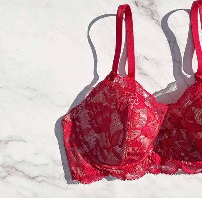 Ｐｒｏｔｅａ　Ｕｎｄｅｒｗｉｒｅ　Ｂｒａ　ＬＰー２５－０１