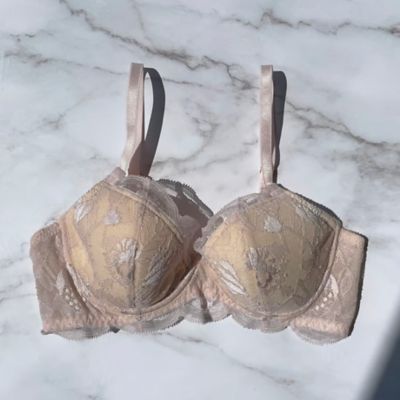 Ｐｒｏｔｅａ　Ｕｎｄｅｒｗｉｒｅ　Ｂｒａ　ＬＰー２５－０１