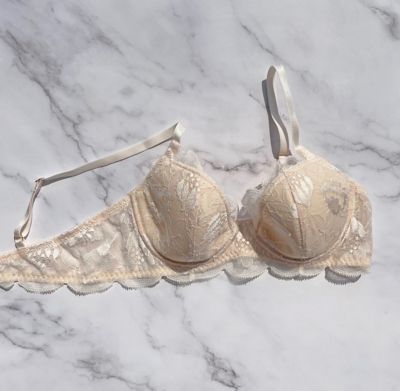Ｐｒｏｔｅａ　Ｕｎｄｅｒｗｉｒｅ　Ｂｒａ　ＬＰー２５－０１
