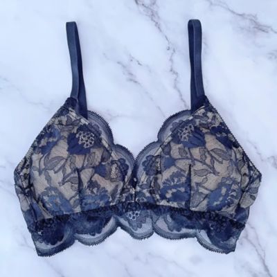 Ｐｒｏｔｅａ　Ｂｒａｌｅｔｔｅ