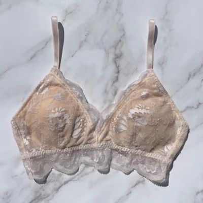 Ｐｒｏｔｅａ　Ｂｒａｌｅｔｔｅ