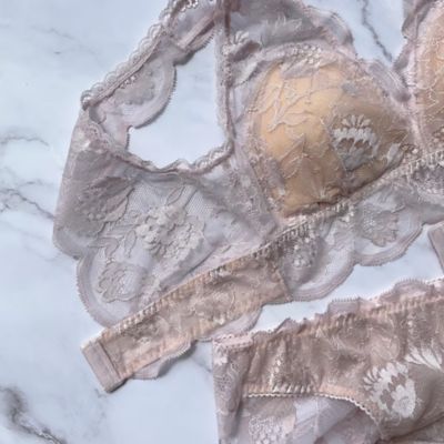 Ｐｒｏｔｅａ　Ｌｏｎｇ　Ｂｒａｌｅｔｔｅ　ＬＰ－２５－０３