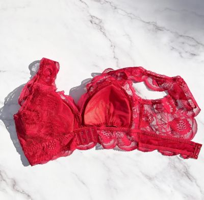 Ｐｒｏｔｅａ　Ｌｏｎｇ　Ｂｒａｌｅｔｔｅ　ＬＰ－２５－０３