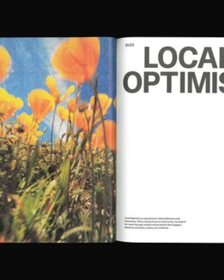 Ｌｏｃａｌ　Ｏｐｔｉｍｉｓｔ：　Ｉｓｓｕｅ　０１　ＬＯＭＡＵ００１