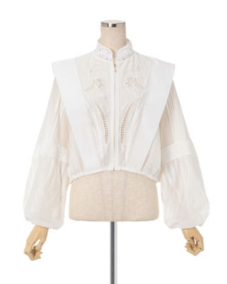 Silk Cotton Botanical