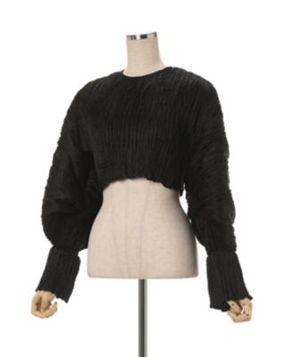 Ｗｒｉｎｋｌｅ　Ｐｌｅａｔｓ　Ｃｒｏｐｐｅｄ　Ｔｏｐ