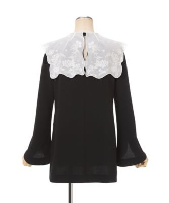 Triacetate Georgette Embroidery