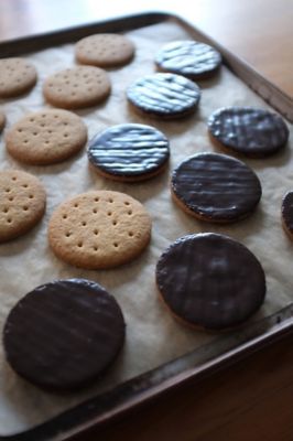 Mornington-Crescent-Winter-2026-digestives