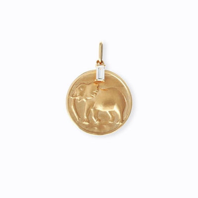  Nature Coin African Elephant yellow gold チャーム・ペンダント