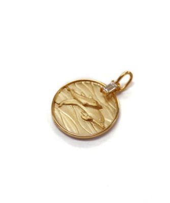 Ｎａｔｕｒｅ　Ｃｏｉｎ　Ｄｏｌｐｈｉｎ