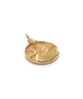 Ｎａｔｕｒｅ　Ｃｏｉｎ　Ｄｏｌｐｈｉｎ