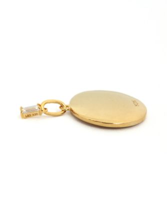 Ｎａｔｕｒｅ　Ｃｏｉｎ　Ｄｏｌｐｈｉｎ