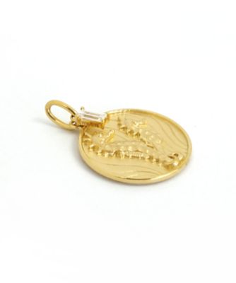 Ｎａｔｕｒｅ　Ｃｏｉｎ　Ｓｅａｈｏｒｓｅ