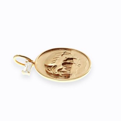 Ｎａｔｕｒｅ　Ｃｏｉｎ　Ｔｏｋｉ