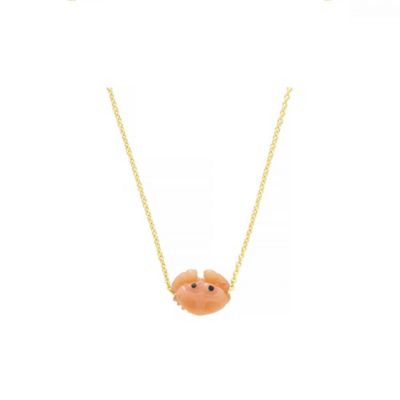 ＭＩＮＩ ＣＡＮＧＲＥＪＯ ＮＥＣＫＬＡＣＥ ミニカニネックレス