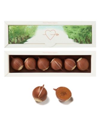 SDC0205 ノワゼット トロンプルーユ PC26－01 | PLEIN