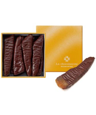 SDC0256 オランジェット WA26－03 | WILLIAM ARTIGUE