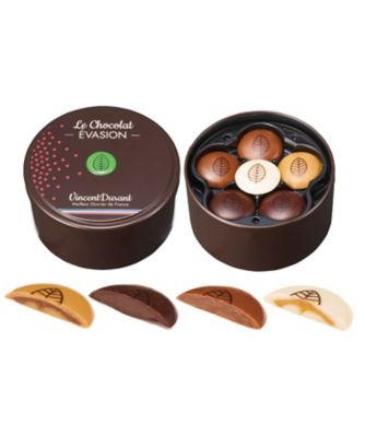 SDC0249 コフレ エヴァズィヨン テ VD26－03 | Vincent