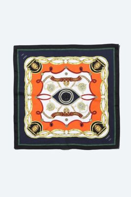 Ｐｒｉｎｔ　ｓｃａｒｆ　ＴＺ２５１－ＡＤ９３０