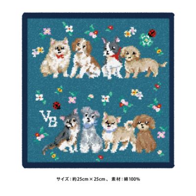 【フェイラーコラボレーション】ブローチ・ハンカチセット　ＶＢＲＶ５１２９　ＬＬ