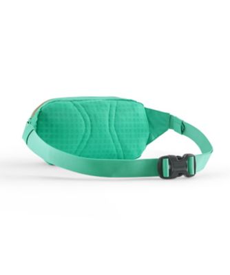 パタゴニア ヒップパック1L 2個セット 新品 テラヴィア・ミニ・ヒップ・パック 1L 49448 | PATAGONIA