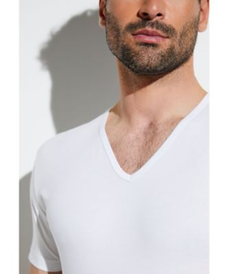 【zimmerli】ＶネックTシャツ 2枚 大きいサイズ メンズ 定番 Levi's-2P Vネック半袖Tシャツ