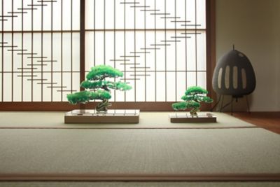 ｂｏｎｓａｉ　Ｍ　松