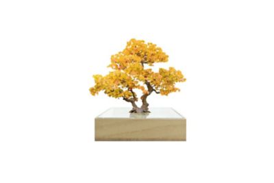 ＜toumei (Women)＞ミニｂｏｎｓａｉ　銀杏