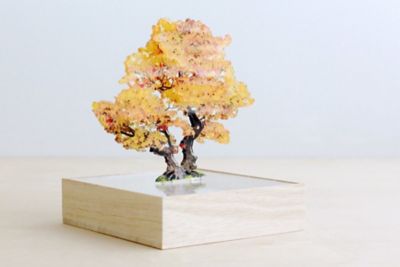 ミニｂｏｎｓａｉ　銀杏