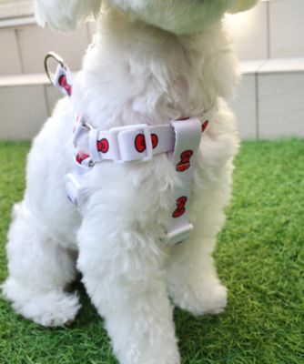 ハローキティ　犬シリーズ ハローキティ 犬用フード付きなりきりウェア｜サンリオ