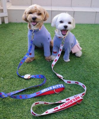 ハローキティ　犬シリーズ 専用】ハローキティ 犬シリーズ
