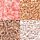 01 Coral Coral