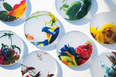 ＜toumei (Women)＞ｉｋｅｂａｎａ　コースター　木箱入り４枚セット