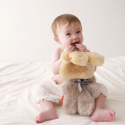 ＣａｄｄｌｅＢｅａｒ