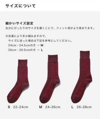 【靴下おまとめ】カジュアルソックス（ＣＨ‐００３）