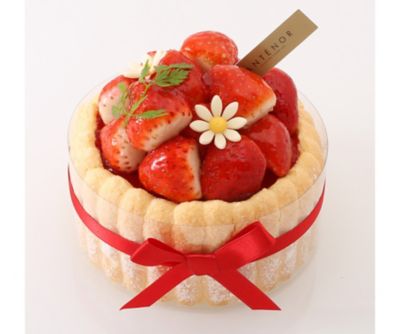 itigonosyarurotto12cm_1