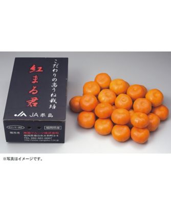 iwataya_23sei_700323