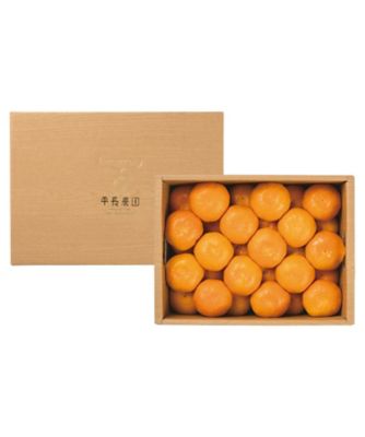 iwataya_23sei_700343