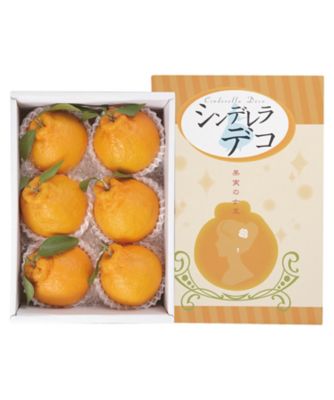 iwataya_23sei_700373