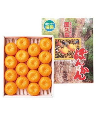iwataya_23sei_700403