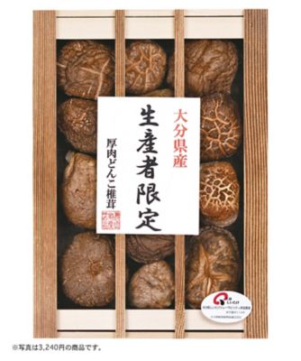 iwataya_23sei_757083