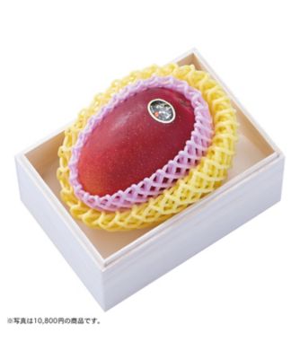 iwataya_25chu_700113